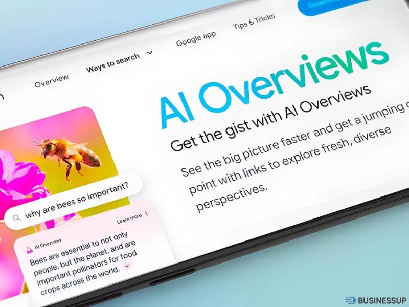Google AI Overviews