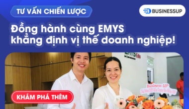 Tư vấn chiến lược: Cùng EMYS khẳng định vị thế doanh nghiệp!